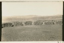 Image of Sheepfold  [Lava walls]